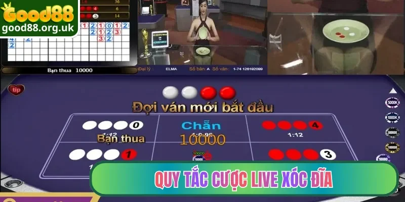 Live Xóc Đĩa Good88| Gameplay Hấp Dẫn, Tỷ Lệ Thưởng Cao 3 Quy tắc cược Live Xóc Đĩa